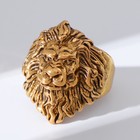 Кольцо "Перстень" лев, цвет чернёное золото, безразмерное - фото 2753712