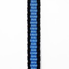 Поводок капроновый, 1,6 м х 1 см, чёрно-синий - Фото 6