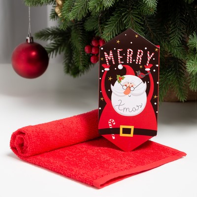 Полотенце махровое «Этель» Merry, 30×30 см, хлопок 100%