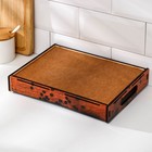 Поднос Доляна с рисунком, 29×22 см - фото 25388335