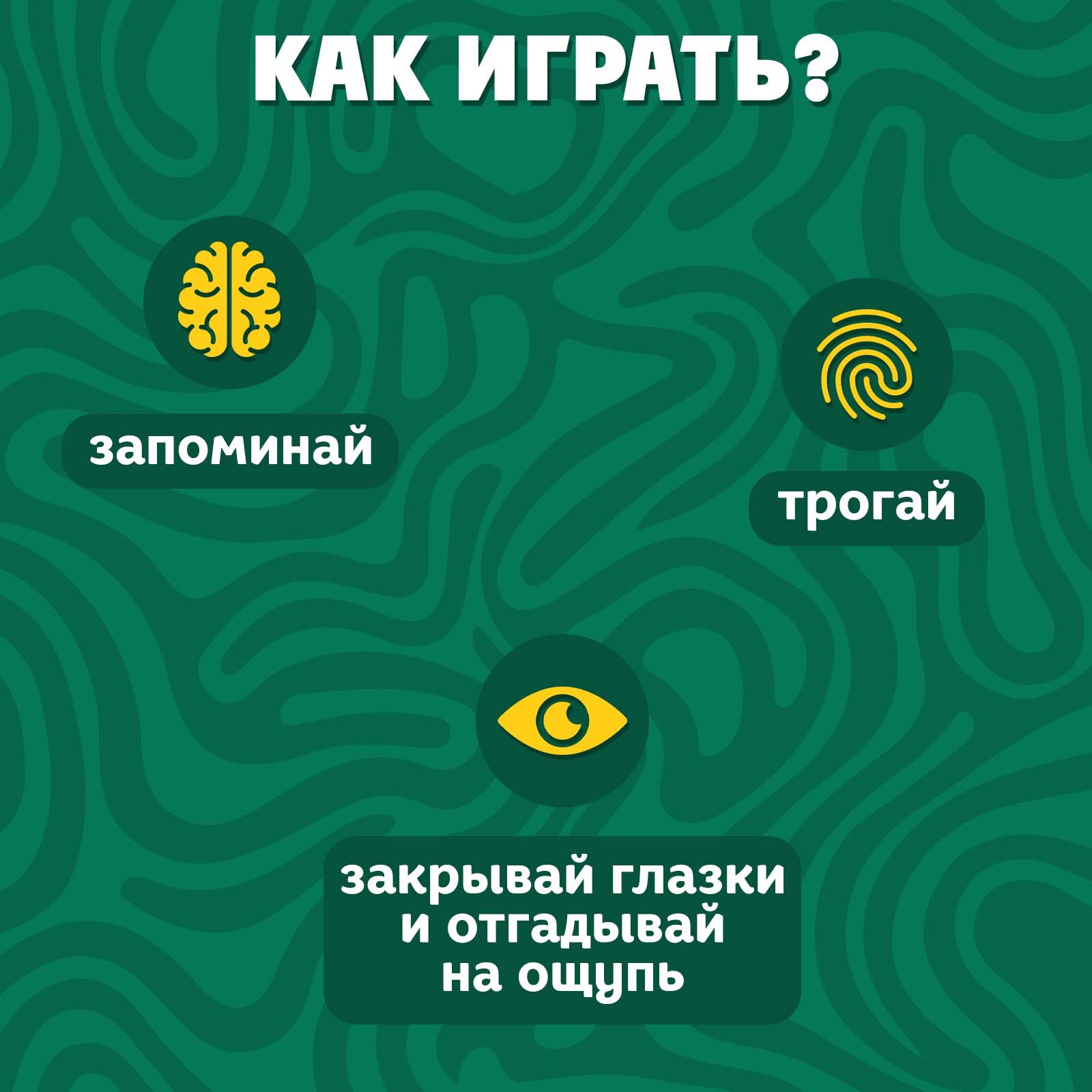 Развивающий набор «Животные леса», тактильные карточки (7534410) - Купить  по цене от 269.00 руб. | Интернет магазин SIMA-LAND.RU