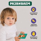 Развивающий набор «Животные леса», 10 тактильных карточек, 3+ - Фото 5