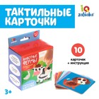 Развивающий набор «Животные фермы», 10 тактильных карточек, 3+ - Фото 1