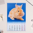 Календарь перекидной на ригеле "Символ - 4" 2023 год, 32х48см - Фото 2