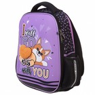 Рюкзак каркасный 38 х 29 х 12,5 см, Hatber Ergonomic light "Милашка Корги", розовый/чёрный NRk71013 - фото 21670598