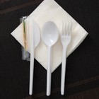 Набор пластиковой одноразовой посуды на 6 персон «Биг-Пак №1», тарелки глубокие, тарелки плоские, стаканчики: 200 мл, 300 мл, 500 мл, вилки, ножи, ложки, трубочки, бумажные салфетки, зубочистки, цвет белый - Фото 6