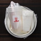 Набор пластиковой одноразовой посуды на 6 персон «Биг-Пак №1», тарелки глубокие, тарелки плоские, стаканчики: 200 мл, 300 мл, 500 мл, вилки, ножи, ложки, трубочки, бумажные салфетки, зубочистки, цвет белый - Фото 18