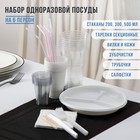 Набор одноразовой посуды на 6 персон «Биг-Пак №2», тарелки секционные, стаканчики: 200 мл, 300 мл, 500 мл, вилки, ножи, трубочки, бумажные салфетки, зубочистки, цвет белый - фото 6643006