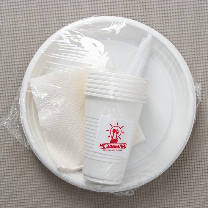 Набор одноразовой посуды на 6 персон «Летний №1», тарелки плоские, стаканчики 200 мл, вилки, бумажные салфетки, цвет белый - фото 1908942461