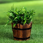 Кашпо деревянное "Клео" малое, 9х9х10см - Фото 1