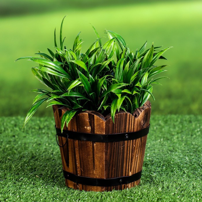 Кашпо деревянное "Клео" малое, 9х9х10см - Фото 1