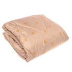 Одеяло Верблюд эконом, размер 140х205 см, полиэстер 100%, 200 г/м - фото 3097839