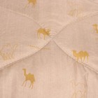 Одеяло Верблюд эконом, размер 140х205 см, МИКС, полиэстер 100%, 200 г/м - Фото 2