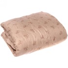 Одеяло Овечка эконом, размер 172х205 см, полиэстер 100%, 200г/м - фото 2999881