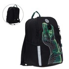 Рюкзак школьный Grizzly "Дино", 38 х 29 х 17.5 см, эргономичная спинка, чёрный/зелёный - фото 321694362