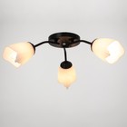 Люстра «Оникс» BayerLux, 3×15 Вт E27, черный-белый, 50×50×15 см - Фото 2