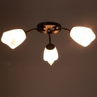 Люстра «Оникс» BayerLux, 3×15 Вт E27, черный-белый, 50×50×15 см - Фото 3