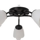 Люстра «Оникс» BayerLux, 5×15 Вт E27, черный-белый, 52×52×15 см - Фото 6