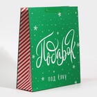 Пакет ламинированный вертикальный «Подарочек», M 26 х 30 х 9 см, Новый год - фото 21671658