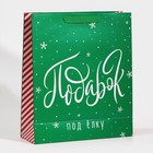 Пакет ламинированный вертикальный «Подарочек», M 26 х 30 х 9 см, Новый год - фото 21671659