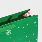 Пакет ламинированный вертикальный «Подарочек», M 26 х 30 х 9 см, Новый год - фото 21671661