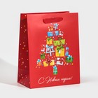 Пакет ламинированный вертикальный «Подарочки», MS 18 х 23 х 10 см, Новый год - фото 318956833