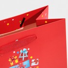 Пакет ламинированный вертикальный «Подарочки», MS 18 × 23 × 10 см - Фото 5