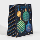 Пакет ламинированный вертикальный «Благополучия», MS 18 × 23 × 10 см - фото 804921715