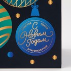 Пакет ламинированный вертикальный «Благополучия», MS 18 × 23 × 10 см - фото 804921717