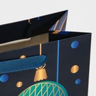 Пакет ламинированный вертикальный «Благополучия», MS 18 × 23 × 10 см - фото 804921718