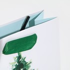 Пакет ламинированный вертикальный «Морозная свежесть», 12 × 15 × 5,5 см - Фото 5