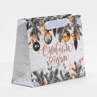 Пакет подарочный новогодний ламинированный «Искры серебра», 12 х 15 х 5.5 см 7695833