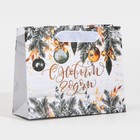 Пакет подарочный новогодний ламинированный «Искры серебра», 12 х 15 х 5.5 см 7695833