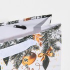 Пакет подарочный новогодний ламинированный «Искры серебра», 12 х 15 х 5.5 см 7695833