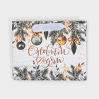 Пакет подарочный новогодний ламинированный «Искры серебра», 12 х 15 х 5.5 см 7695833