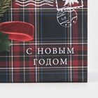 Пакет ламинированный горизонтальный «На северный полюс», 15 × 12 × 5,5 см - Фото 4