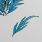 Сухоцвет "Лист полыни горькой" синий h=5-8 см - фото 318957000
