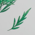 Сухоцвет "Лист полыни горькой" зелёный h=5-8 см - фото 321349813