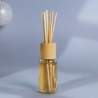 Диффузор ароматический палочки «Новогодняя коллекция: Почувствуй зимнюю сказку», аромат пломбира, 30 мл - Фото 4