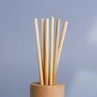 Диффузор ароматический палочки «Новогодняя коллекция: Почувствуй зимнюю сказку», аромат пломбира, 30 мл - Фото 5