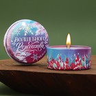 Новогодняя свеча в железной банке «Волшебного рождества», аромат ваниль, диам. 4,8 см - фото 318957478