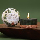 Новогодняя свеча в железной банке «Merry Christmas», аромат ваниль, диам. 4,8 см - фото 21672330