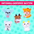 Мягкая игрушка «Лупоглазики. Кэнди-плюш: Краля» с питомцем - Фото 5