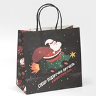 Пакет подарочный «Скорее пить», 22 × 22 × 11 см - фото 804922889