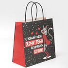 Пакет подарочный «Котик», 22 х 22 х 11 см, Новый год - фото 21672814
