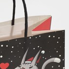 Пакет подарочный «Котик», 22 × 22 × 11 см - Фото 4