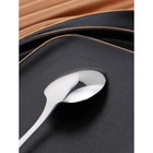 Ложка столовая «Миддлтон», длина 19 см, толщина 3 мм, цвет серебряный (комплект 6 шт) - фото 24119477