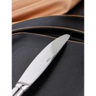Нож столовый из нержавеющей стали «Миддлтон», длина 23 см, толщина 9 мм, цвет серебряный - Фото 2