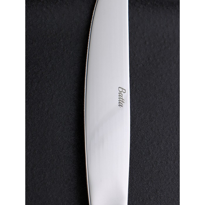 Нож столовый из нержавеющей стали «Миддлтон», длина 23 см, толщина 9 мм, цвет серебряный - фото 1908945660