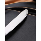 Нож столовый из нержавеющей стали «Беркли», длина 23,8 см, цвет серебряный - Фото 4